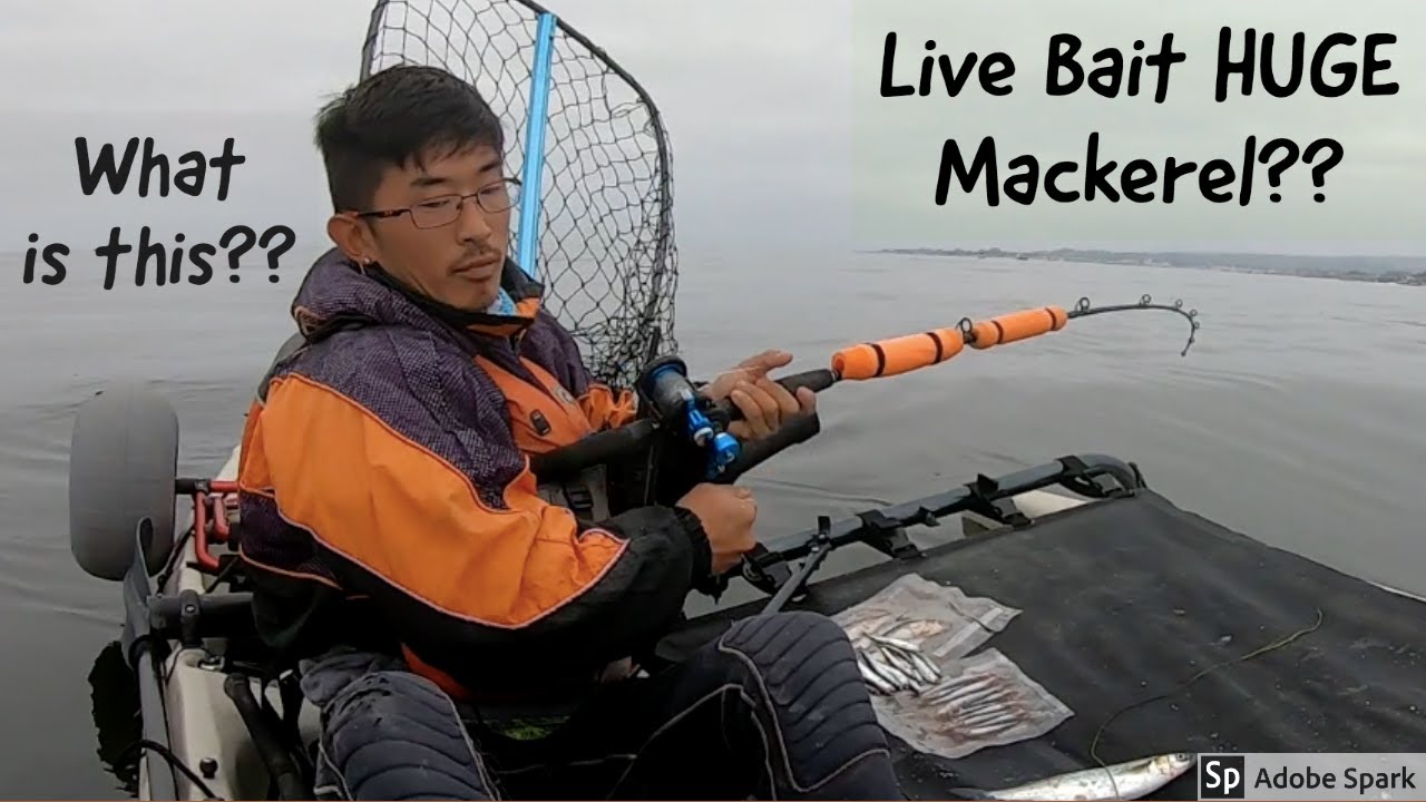 Kayak Fishing for Halibut in Santa Cruz, CA (Part 1)