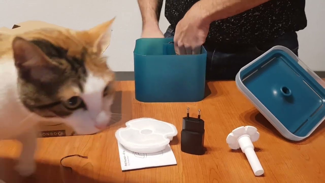 Fuente para gatos Aonboy🚿, uno de los mejores bebederos para gato relacion calidad/precio 😻😻