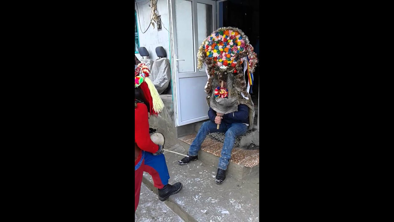 CERBUL DE ANUL NOU 2016