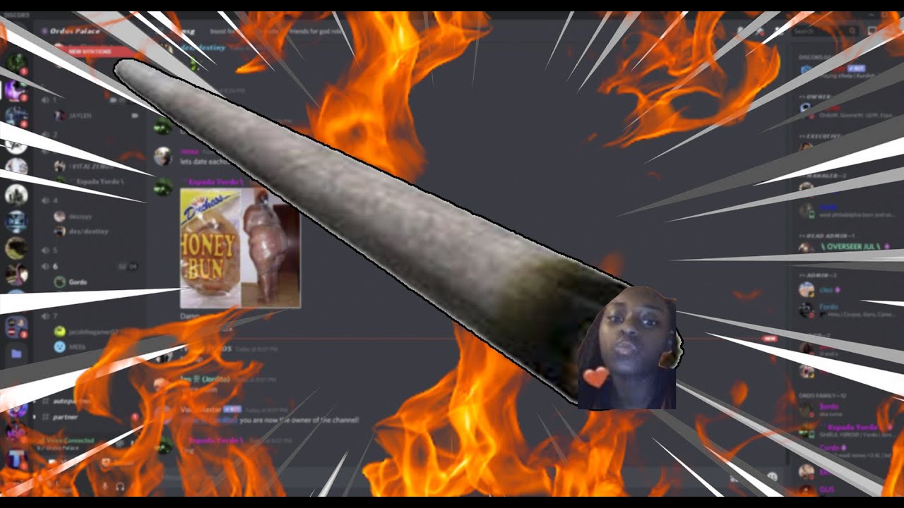 E N T I T Y