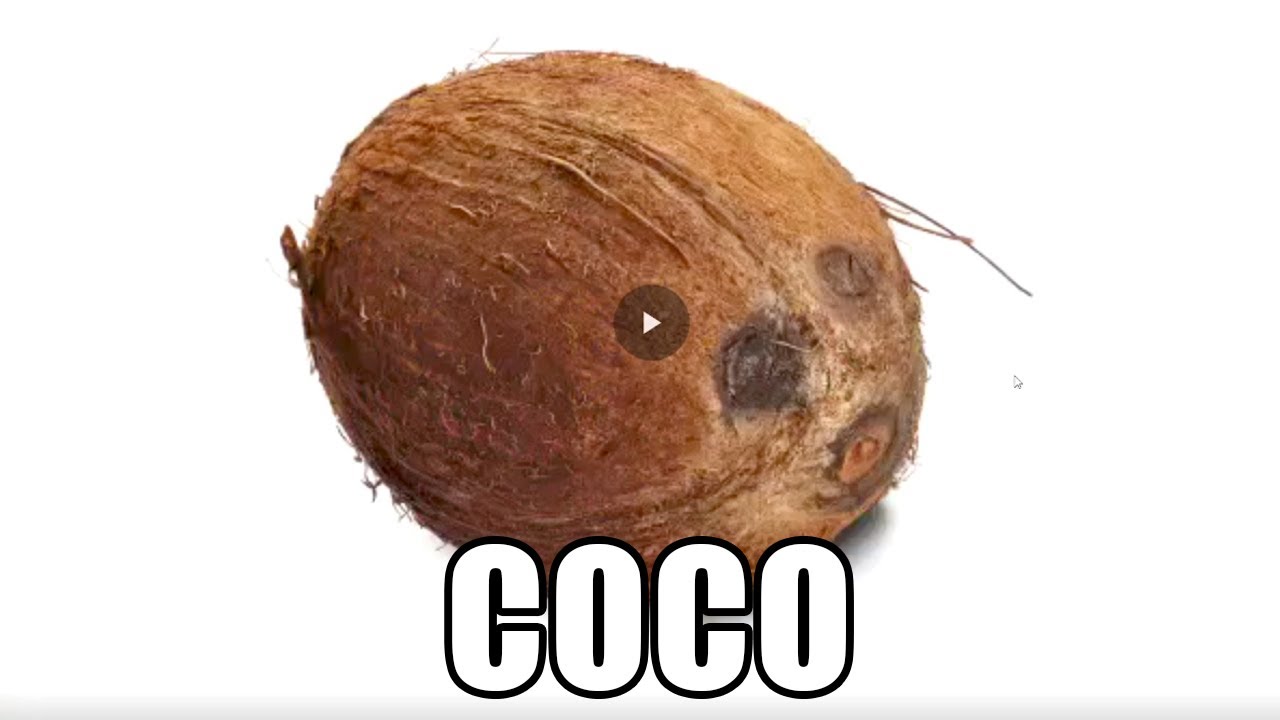 MEMES MUY XD #170