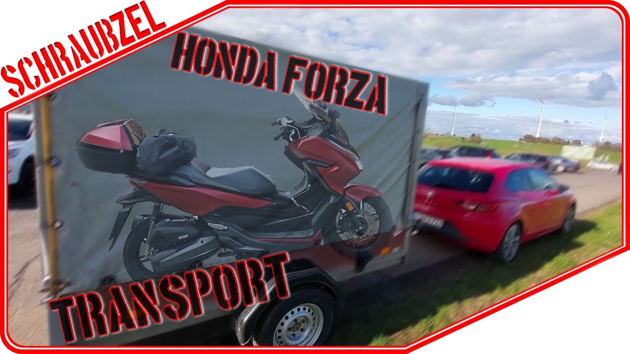 Honda Forza Roller 🛵 auf Hänger transportieren 🚗🛒
