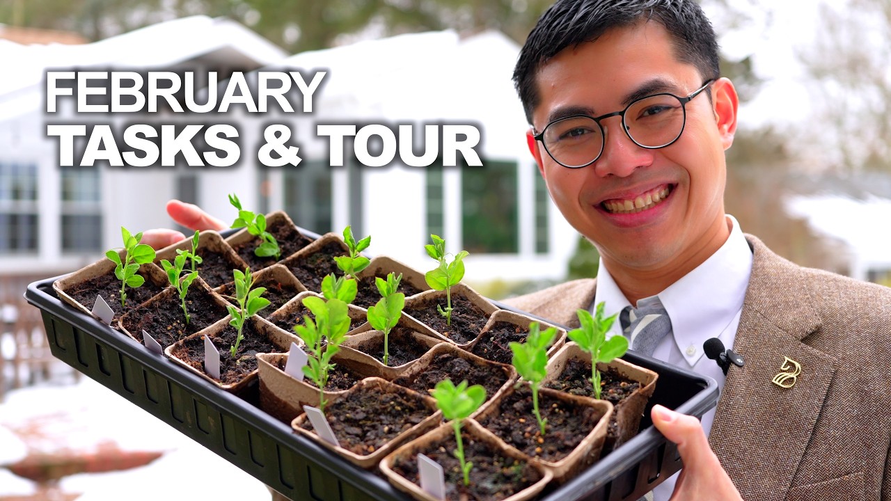 February Garden Tour, Potting Up Seedlings, Cool Flowers