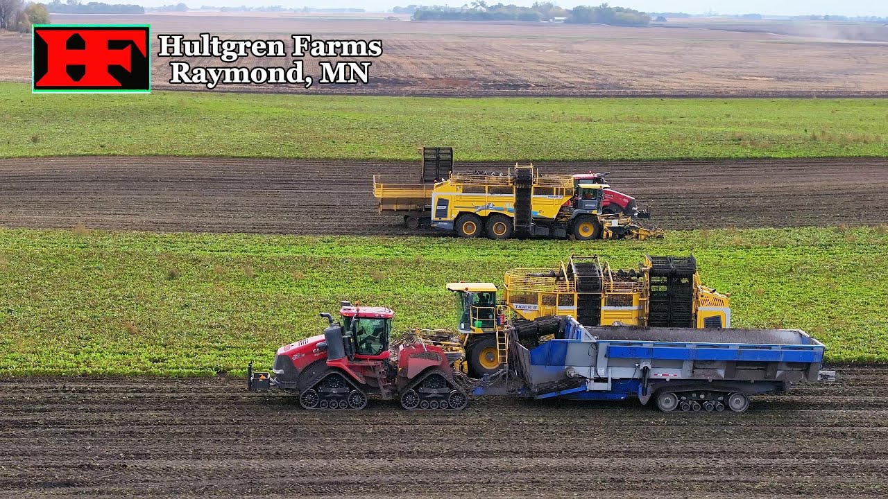 Hultgren Farms Sugarbeet Harvest 2025