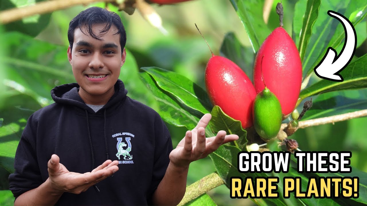 5 RARE Plants You Should Grow!👀🌿S:4, Ep.08//The Ultimate Gardener