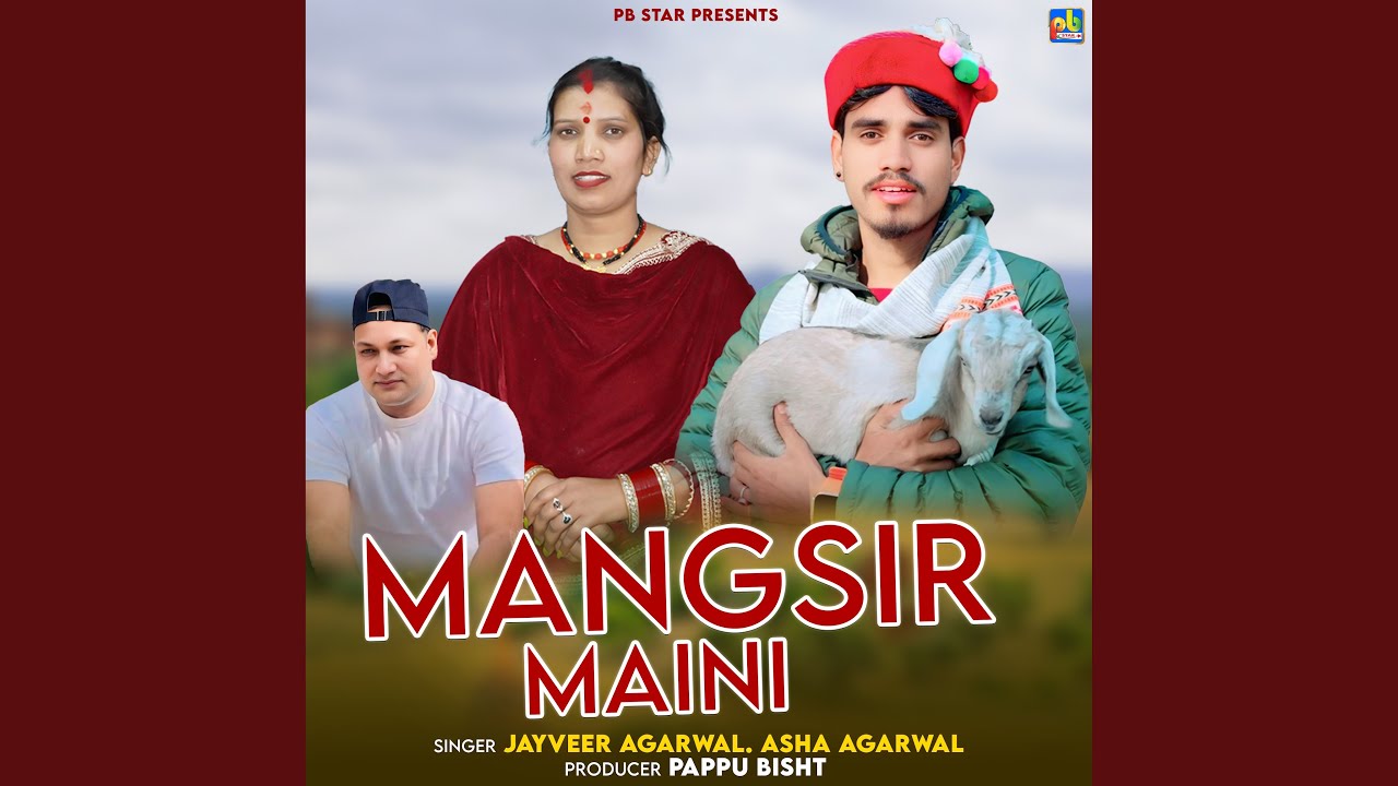 Mangsir maini