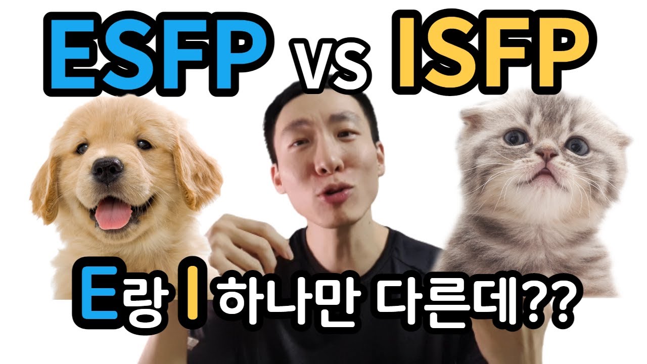 ESFP와 ISFP 공통점과 차이점