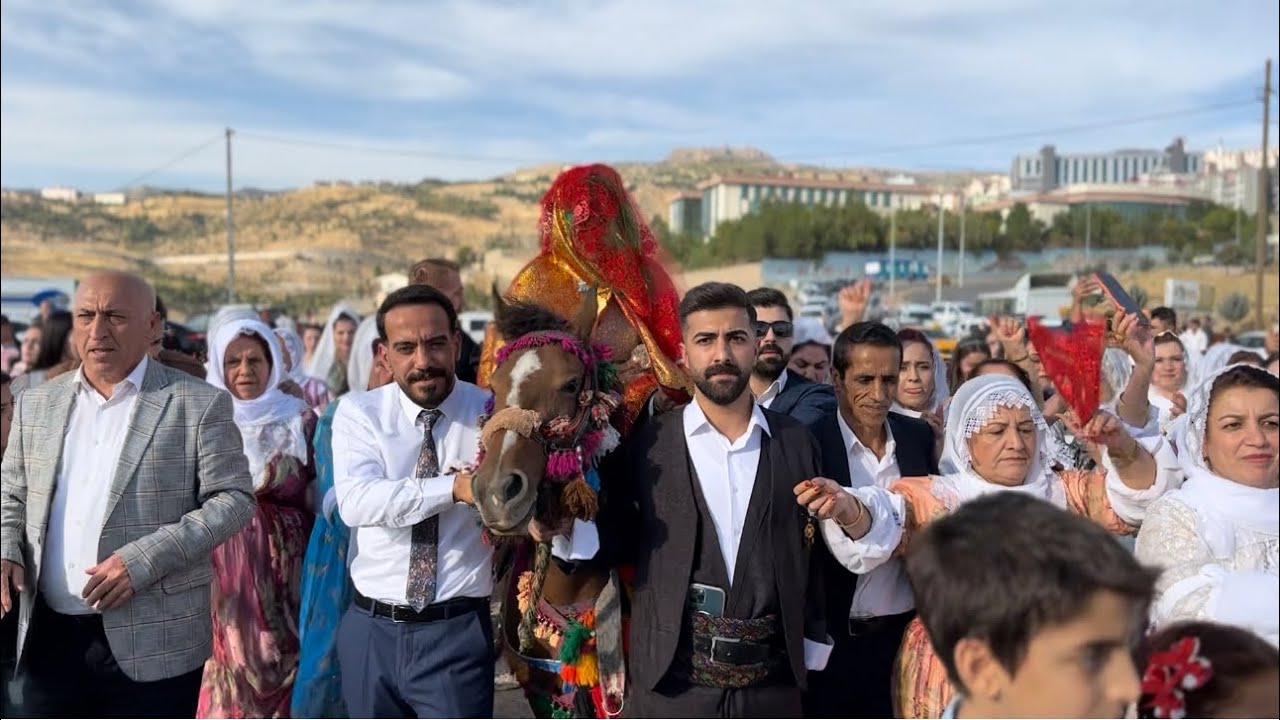 SEDAT OLCAN DÜĞÜNÜ Lütfen abone olalım #şirnakdüğünleri