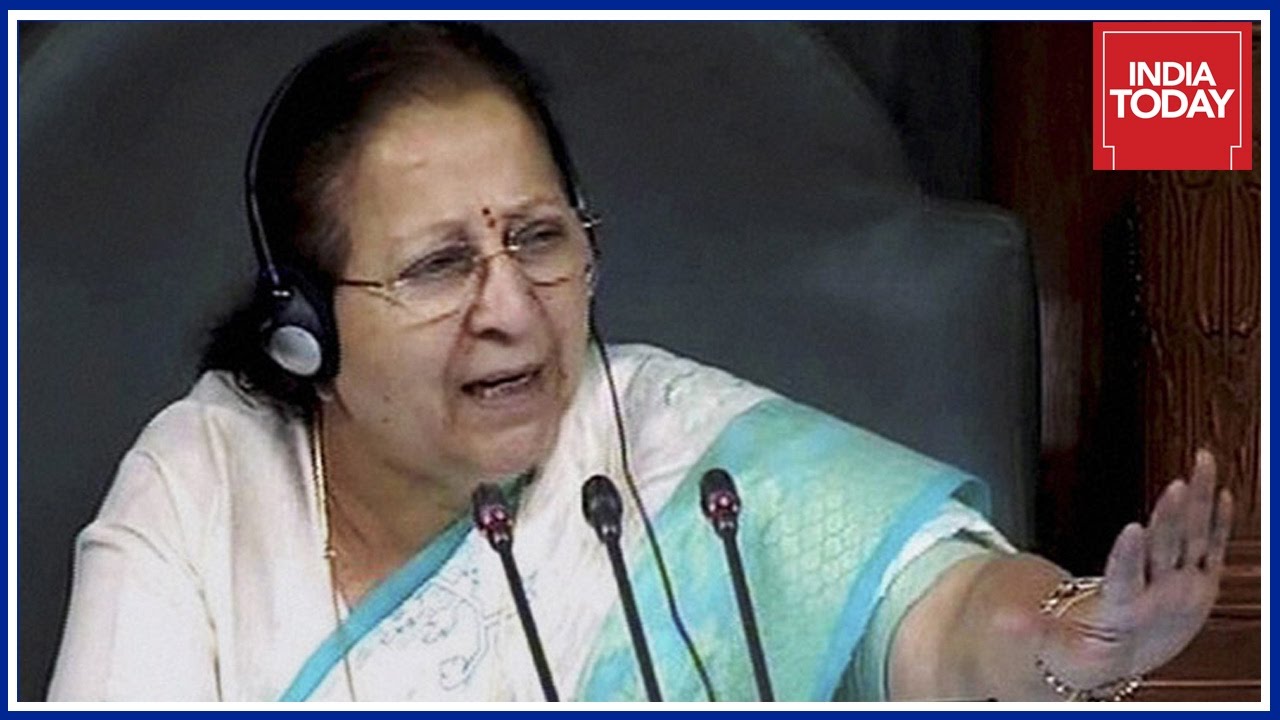 Sumitra Mahajan Lashes Out Over Washouts At Lok Sabha
