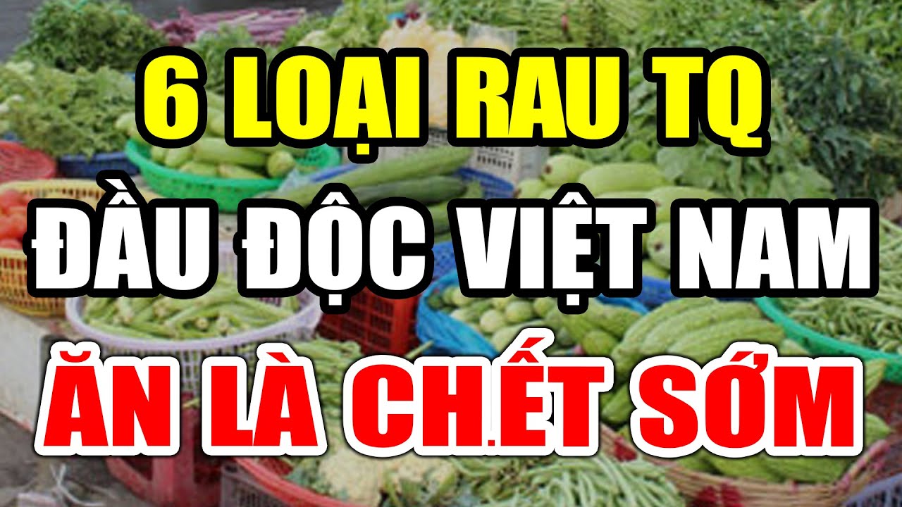 Kinh Ho&agrave;ng 6 Loại Rau Từ Trung Quốc ĐẦU ĐỘC CẢ Việt Nam Ăn L&agrave; UNG THƯ Sinh Bệnh, C&oacute; Ng&agrave;y CHẾTT NON