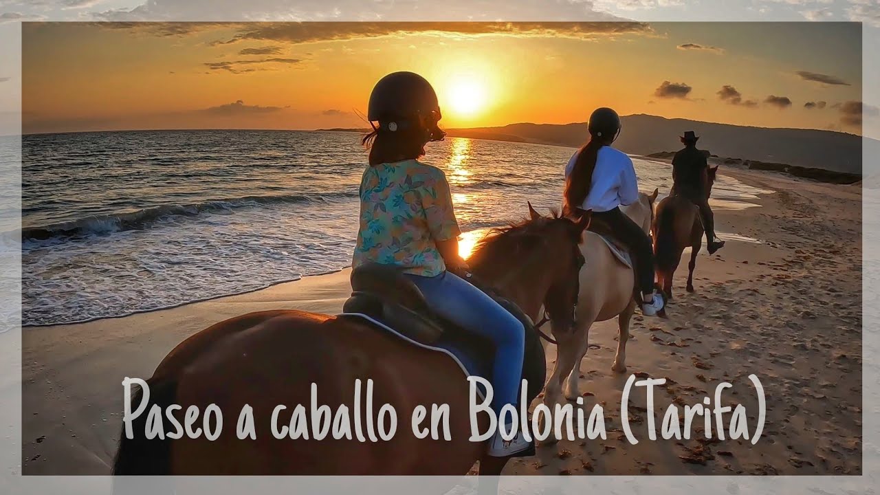 Paseo a caballo en Bolonia (Tarifa) #gopro10 #caballo #paseo #atardecer #bolonia #playa