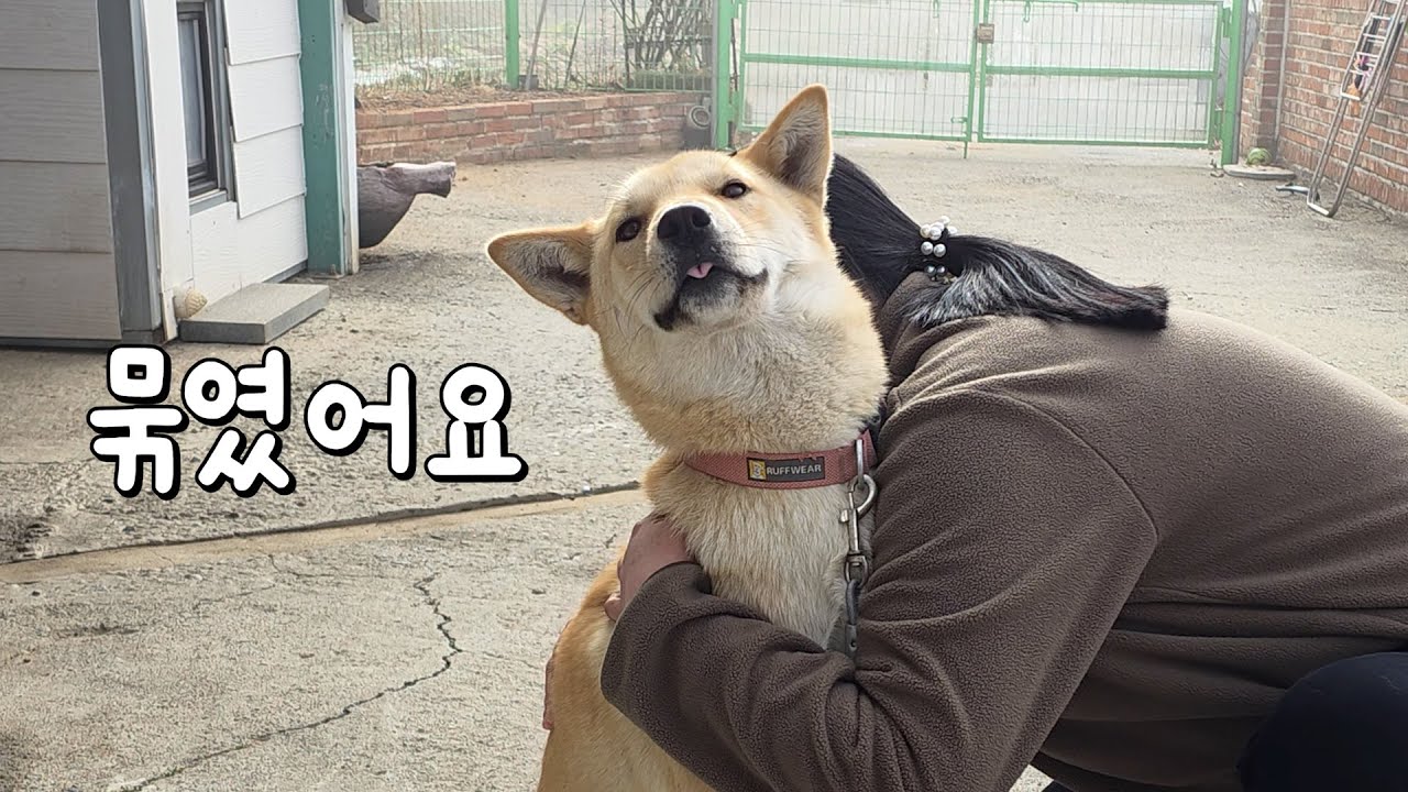 사실은 그렇지 않습니다