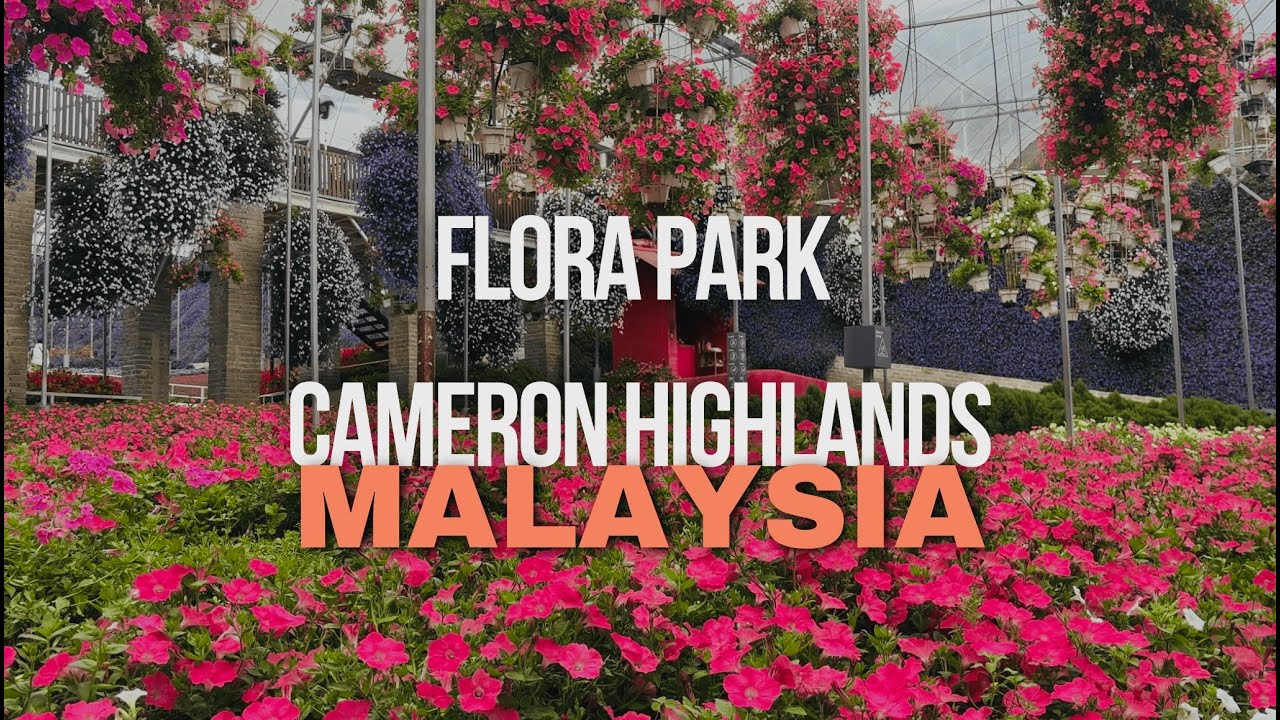 Flora park Cameron highlands || Malaysia