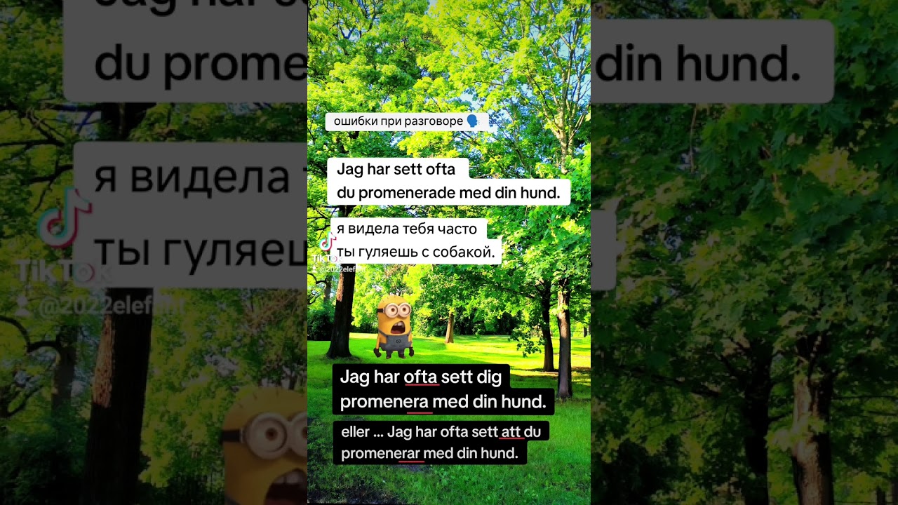 шведский язык svenska spr&aring;ket