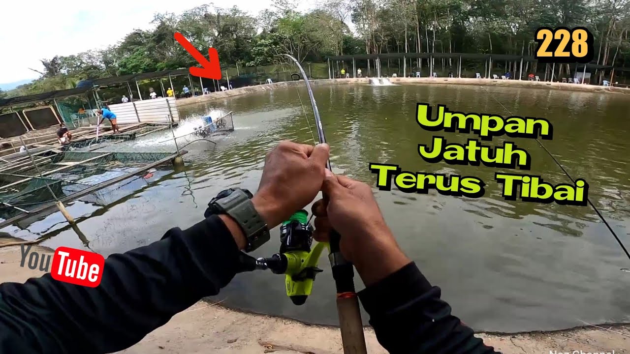 Tips & Teknik Mancing Kolam Air Masin Kolam LG Batang Kali