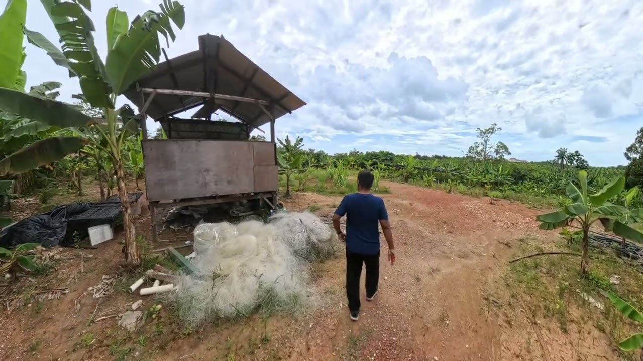 Tanah Di Paya Rumput
