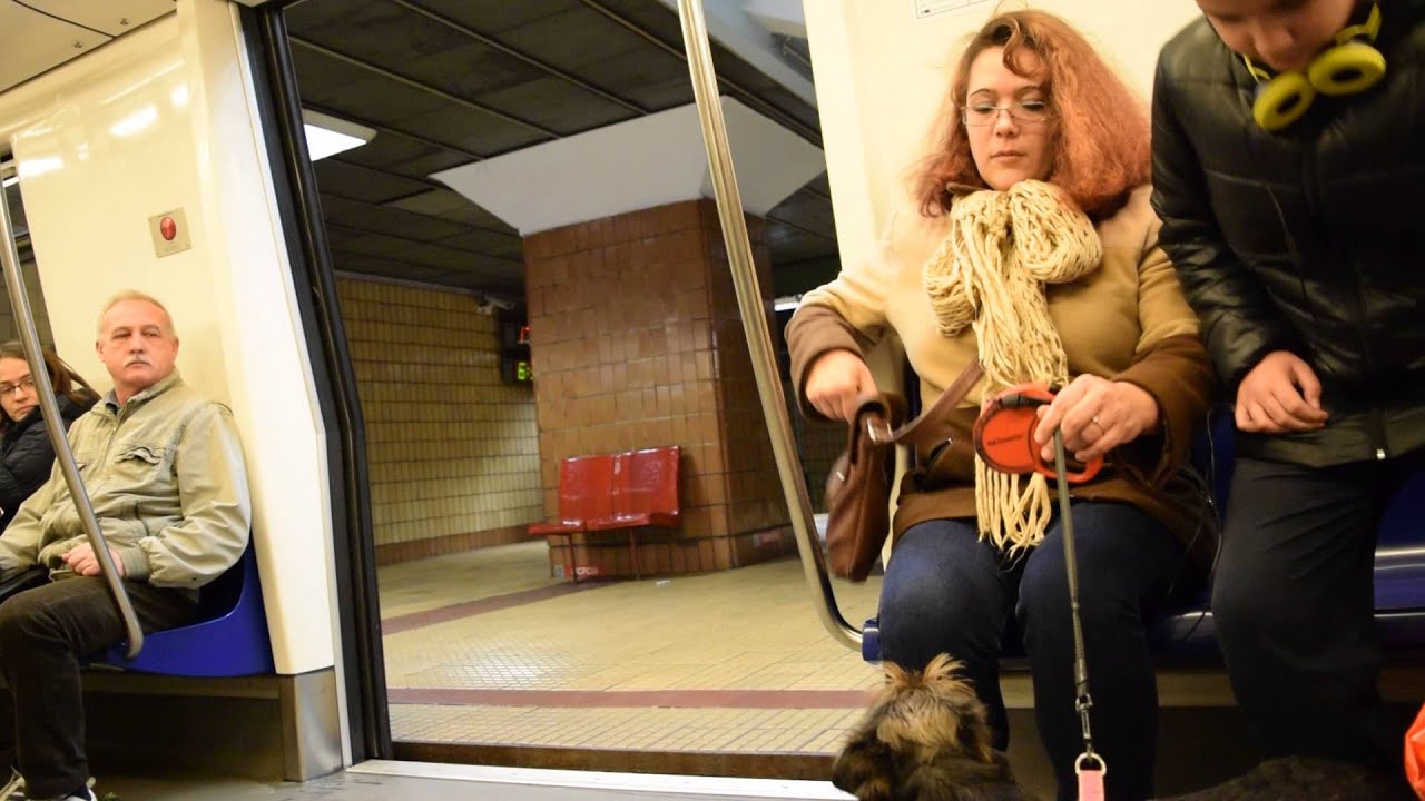 Metrou Bucuresti:Calatorie cu Bombardier Movia 1015-2015 