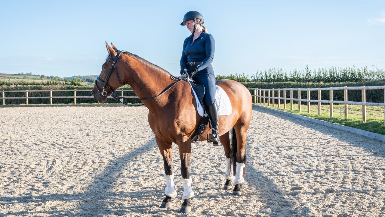 Give and Retake the Rein | Come For a Flatwork Lesson With Floss Egan