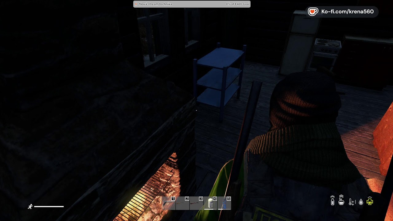 DayZ Frostline LIVE!