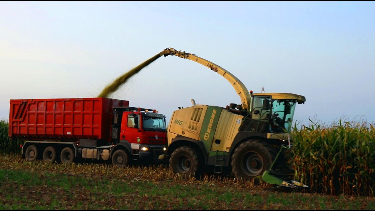 Silaže 2020 | Krone BigX770 | 2x Tatra Phoenix |  John Deere | JCB