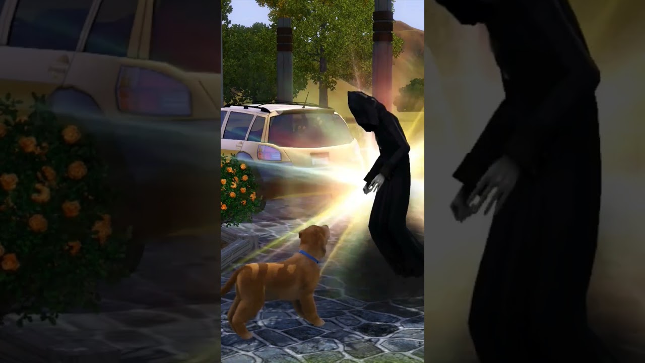 when your pet dies in Sims 3 😥 