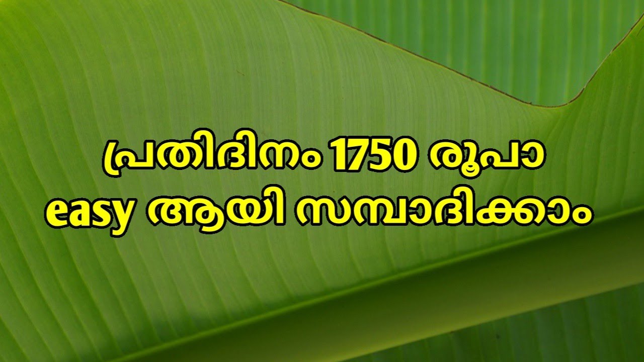പ്രതിദിനം 1750 രൂപാ സമ്പാദിക്കാം.