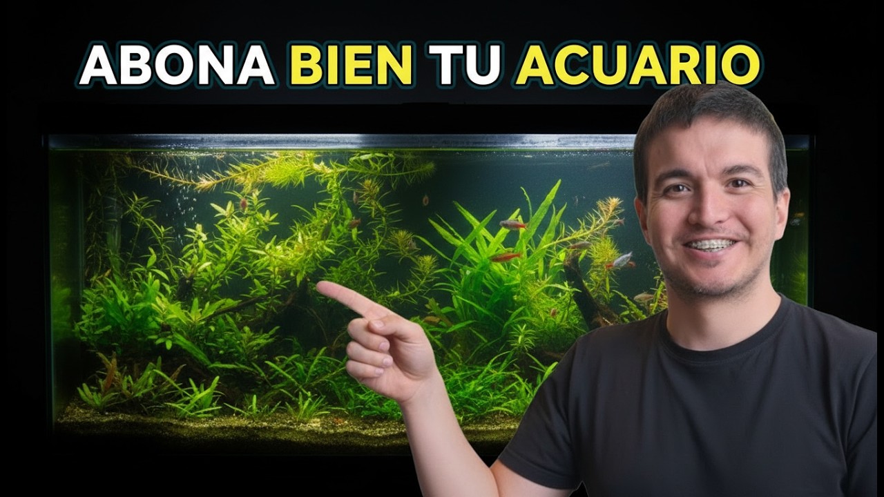 “Tu acuario plantado no necesita más fertilizante”