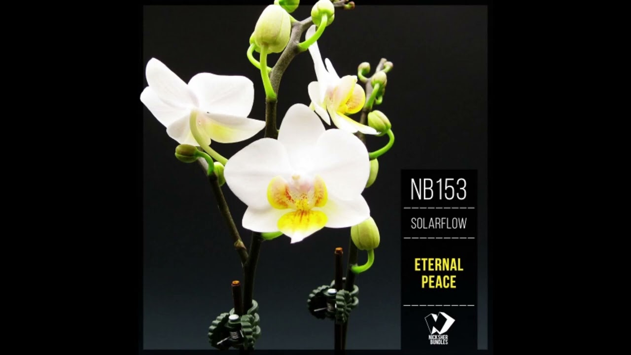 Solarflow - Springtime - Extended version - 78BPM