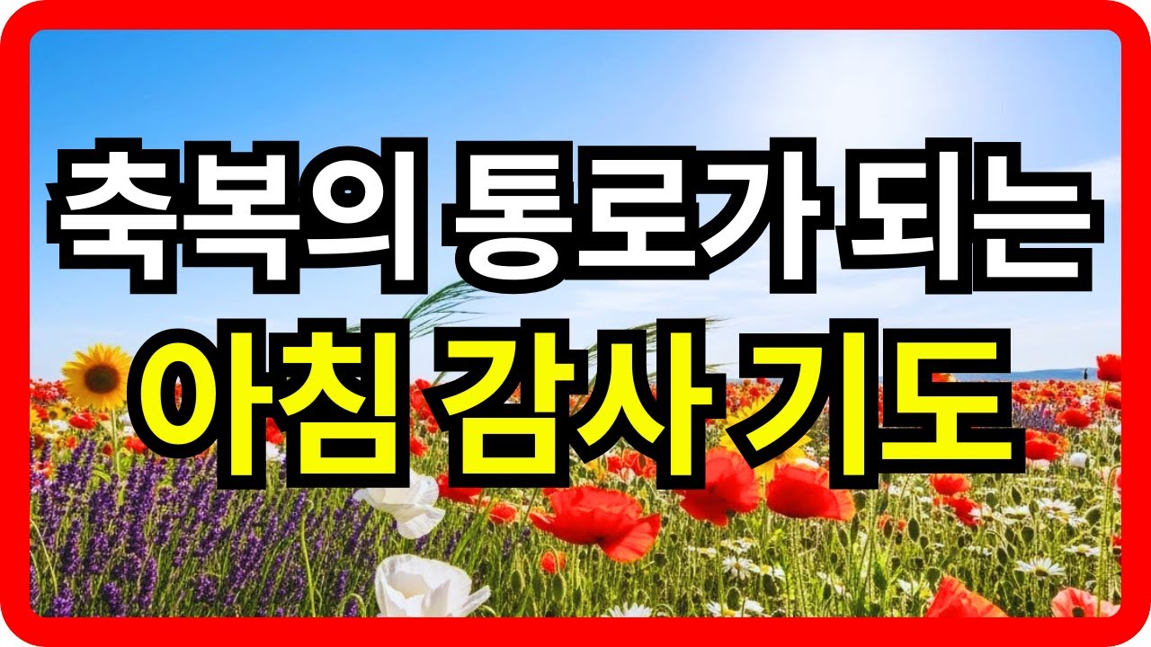축복의 통로가 되는 아침 감사 기도ㅣ매일 감사로 시작하는 하루ㅣ하루를 여는 기도ㅣ아침을 여는 감사기도ㅣ 아침기도