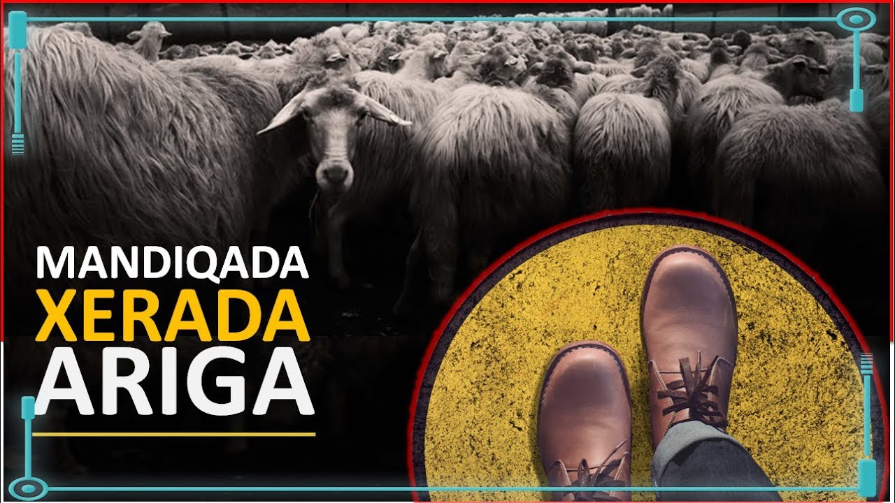 Sirta Nolosha |  Kabixida Xerada Ariga | Comfort zone | kabax xaaladaan liidato |