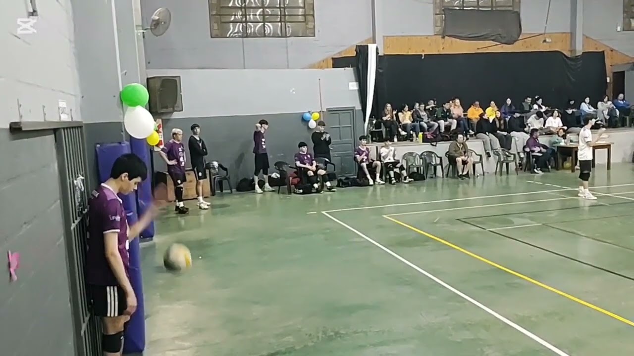 Sinergia Voley Pilar 
