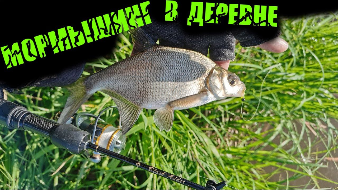 Мормышинг с берега. Нарвался на стайного окуня.  Рыбалка в д.Никитино.