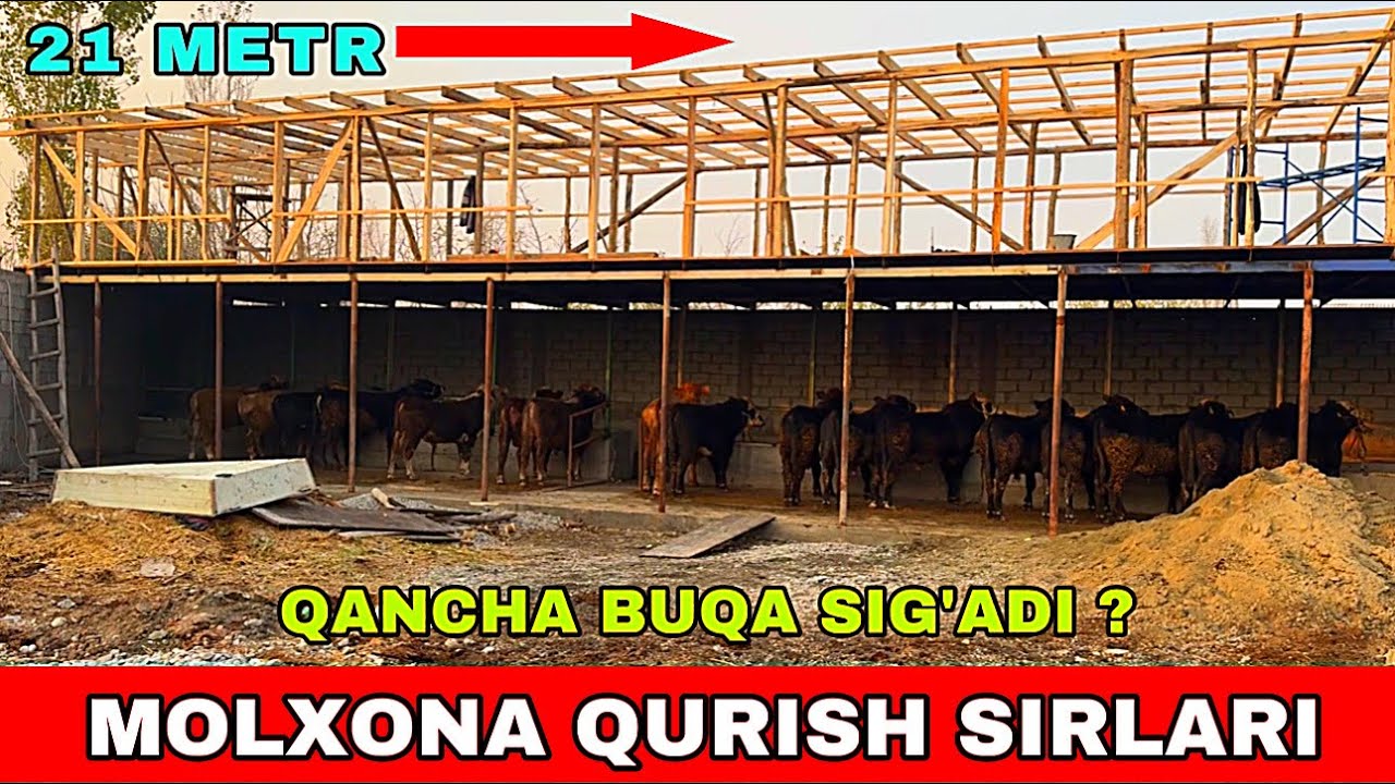 MOLXONA QURISH SIRLARI ☎️90-629-99-01 UY SHAROITIDA