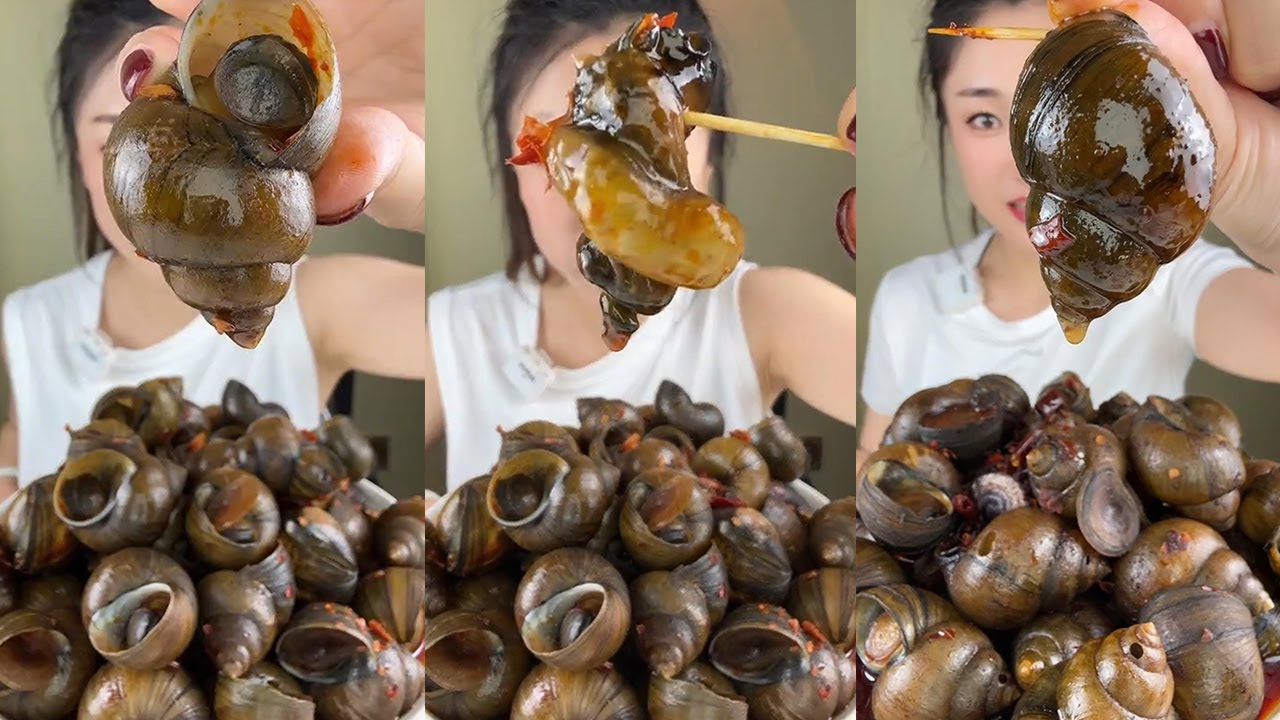 【Yummy】Eating show：Spicy stir fried snails+spicy abalone snails🐚🌶#mukbang#asmr#Seafood
