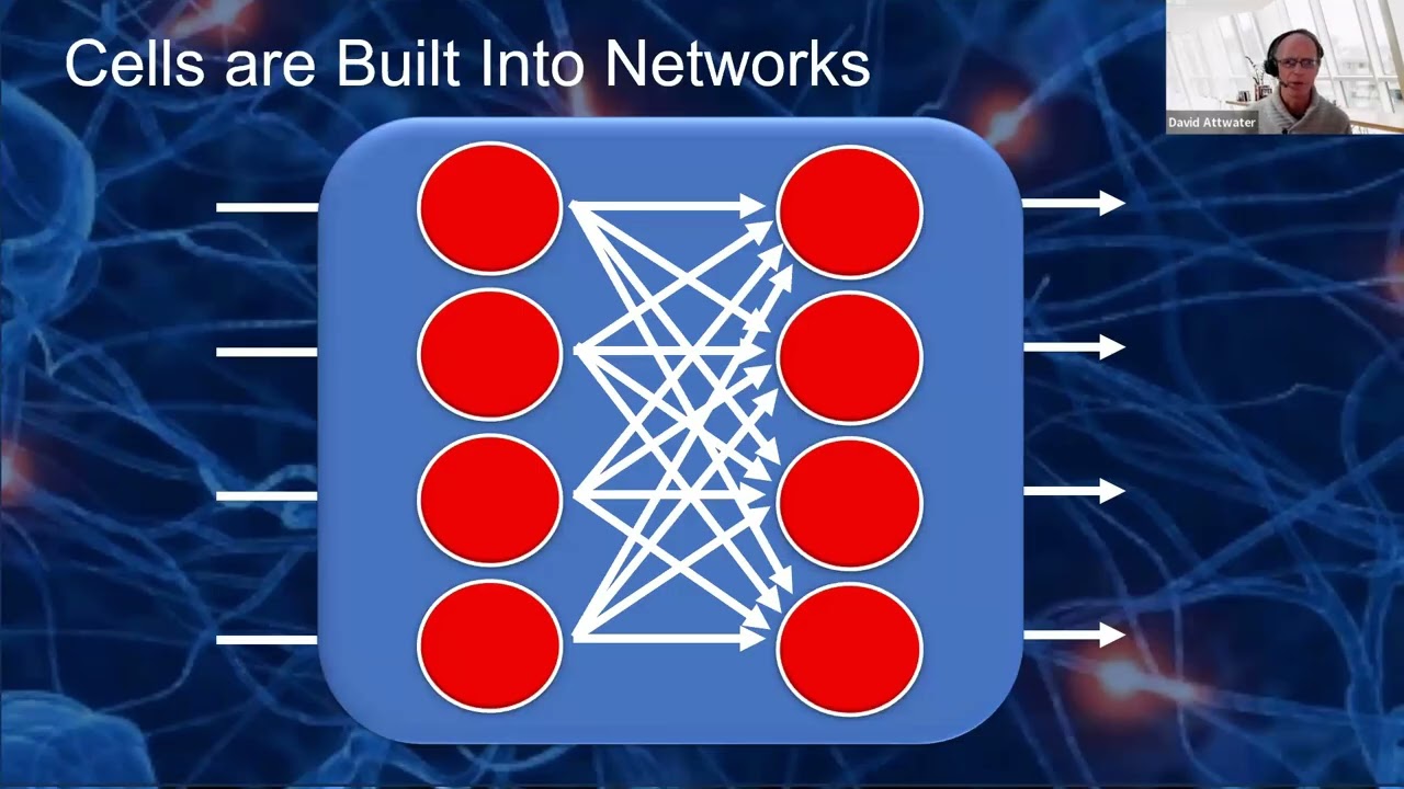 Webinar 1  What are Gen AI and LLMs?
