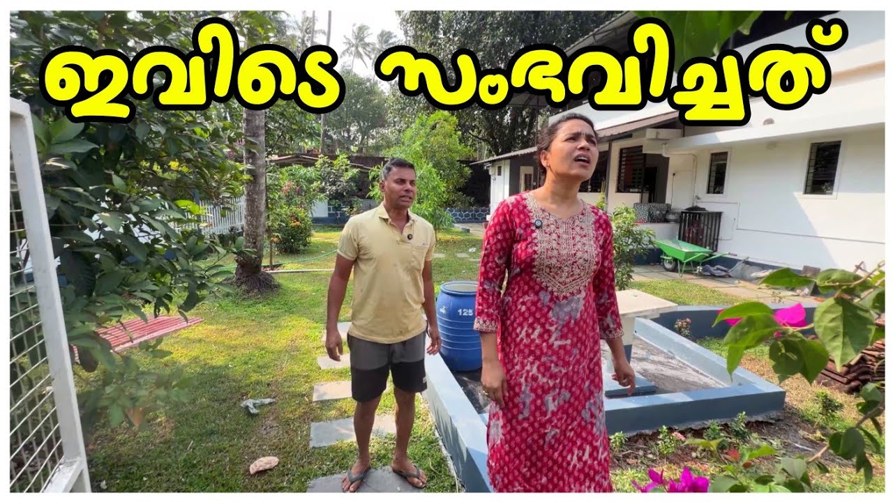  പൂൾ നാശമാക്കിയത് ആര്.../ Family vlog /A day in my life /Cleaning /Entertainment 