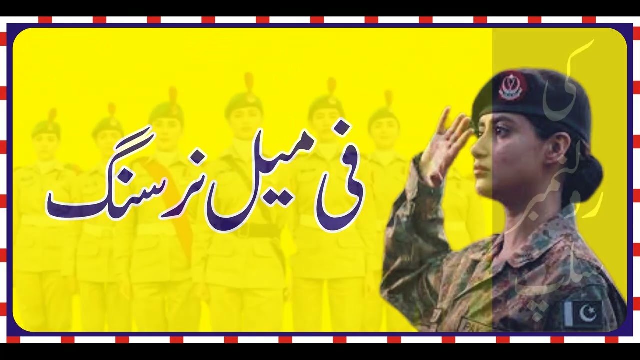Pak Army as B.Sc Nursing  Roll Number Slip (AFNS) 2023