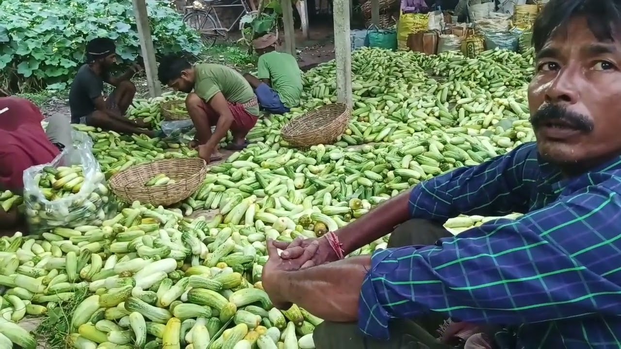 গুপ্তিপাড়ার সবজি আড়ৎ। পাইকারি দরে কেনা বেচা চলছে। 