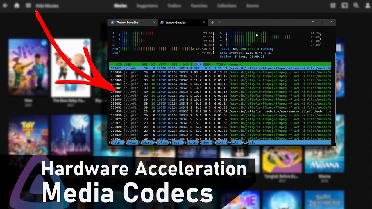 ULTIMATE Jellyfin Guide - Hardware Acceleration, Codecs (PART 2)