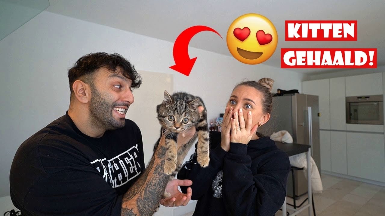 ESRA VERRASSEN! *EEN KITTEN GEHAALD*😻| #629