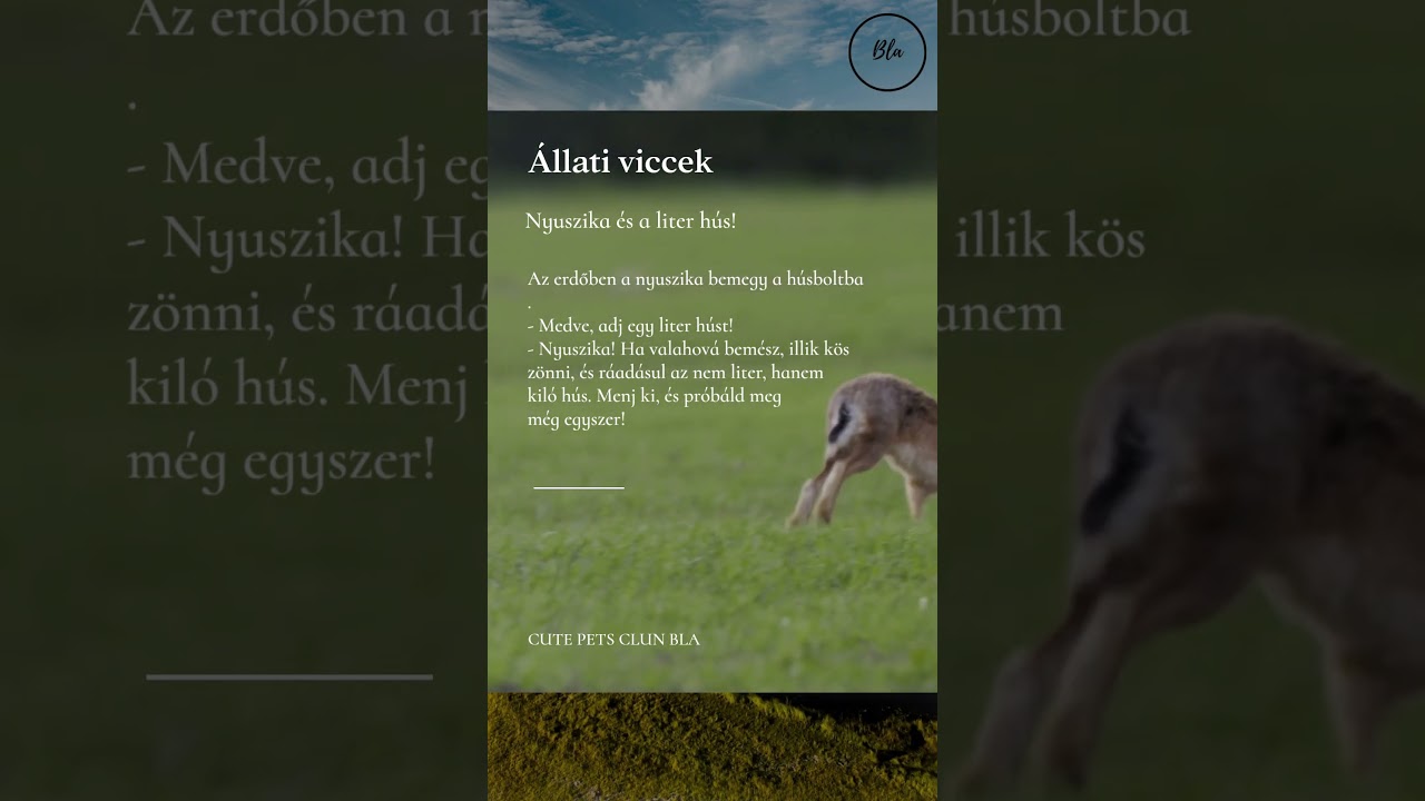 Az erdőben a #nyuszika bemegy a h&uacute;sboltba.  #tiktok #vicces #aranyos #viccesvide&oacute;k #vicc #po&eacute;n #mem