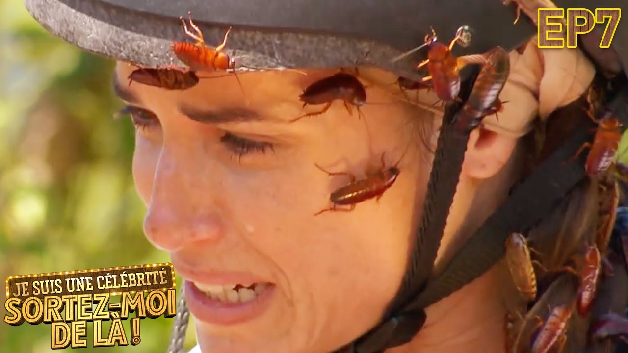 Capucine Anav recouverte d'insectes - Je suis une Célébrité, Sortez-Moi de Là ! - Épisode 7
