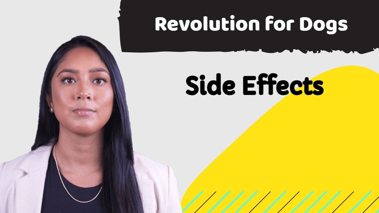 Revolution for Dogs Side Effects: What Every Dog Owner Should Know!