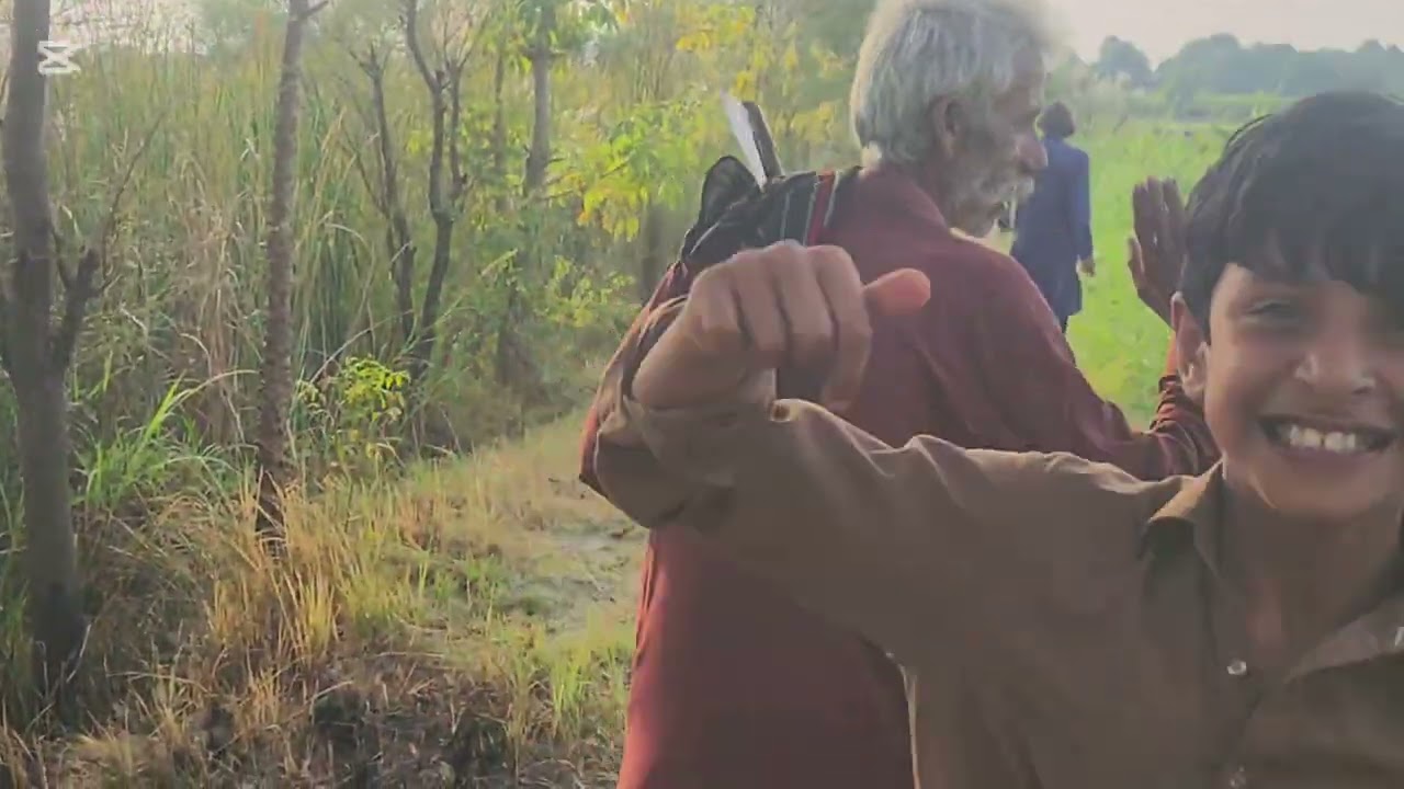 Untitled video