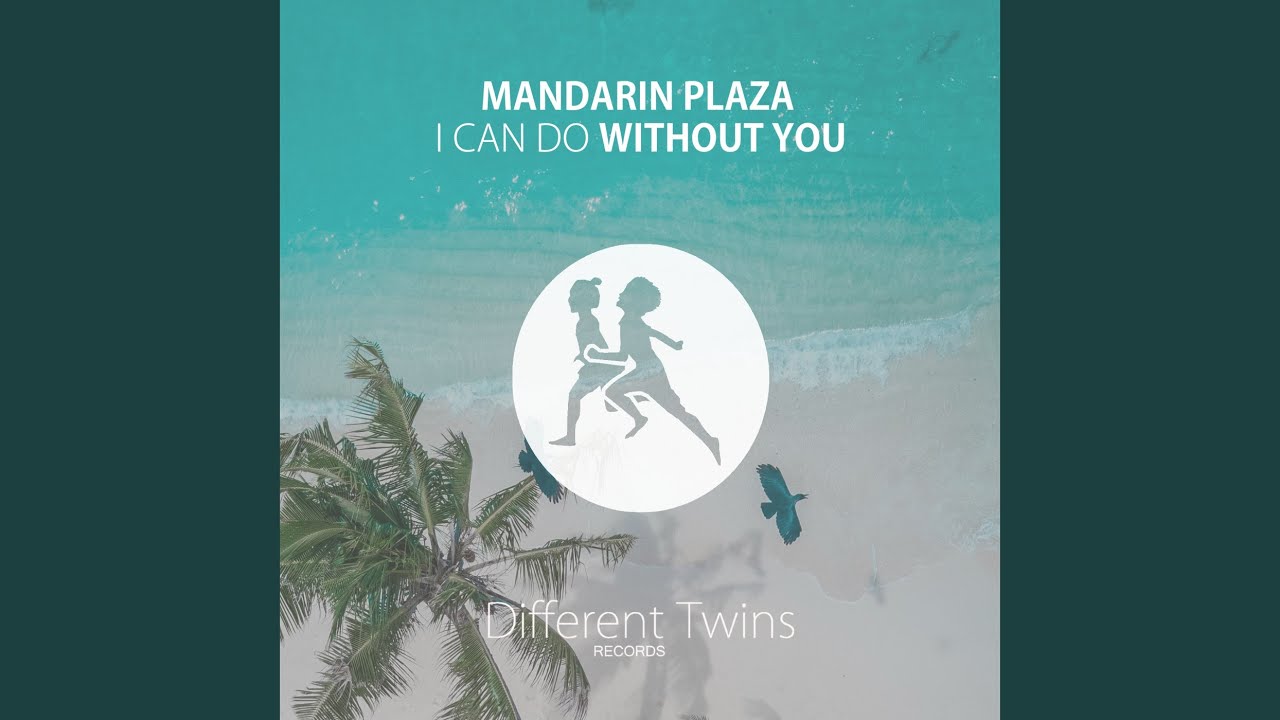 I Can Do Without You