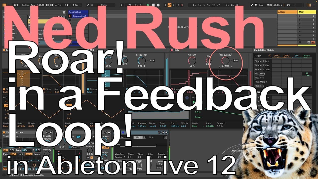 Учебное пособие по Ableton Live 12 — Рёв в петле обратной связи = Нед Раш