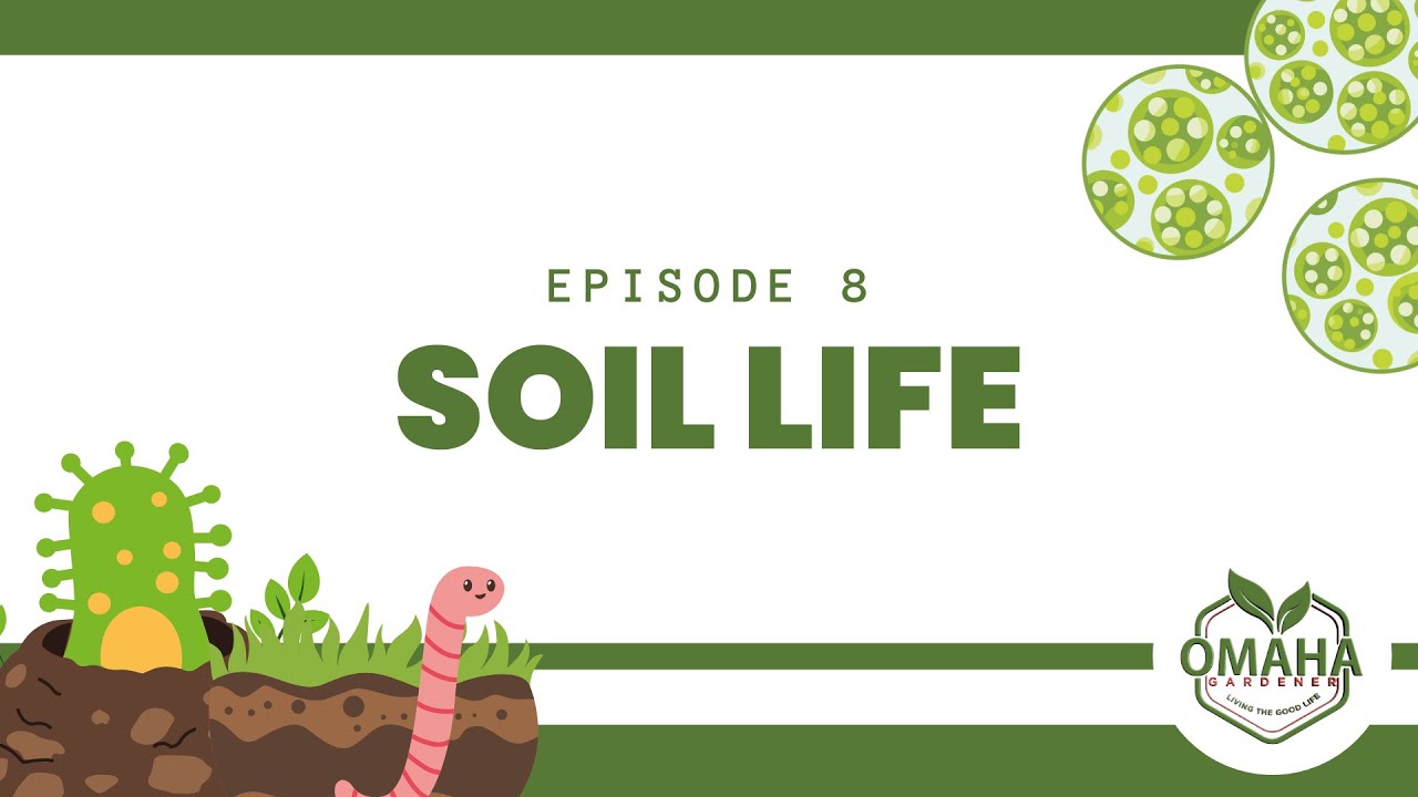 Soil Life | OG Soil Smart Series | Episode 8
