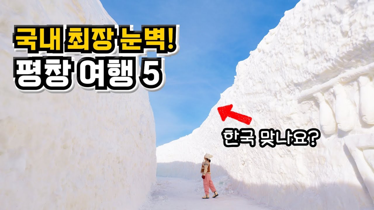 1월, 2월 이국적인 국내 겨울 여행지 추천☃️ 평창 여행 코스 가볼만한곳5 대관령 눈꽃축제, 발왕산 케이블카, 하늘목장, 실버벨교회, 평창 맛집