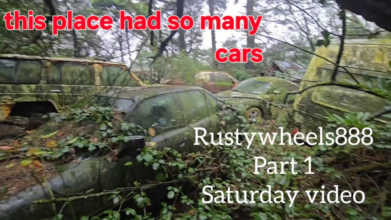 I found Fords BMW Toyota mercedes audi abandoned #ford #audi #Toyota #BMW #Vauxhall #abandoned #cars