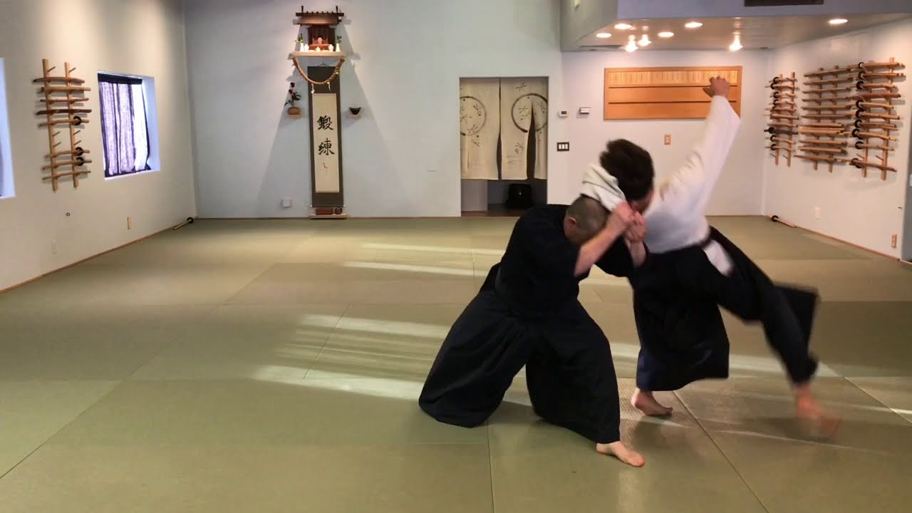 Aikiodo: Shiho Nage (Ai Hanmi Kosa Dori)